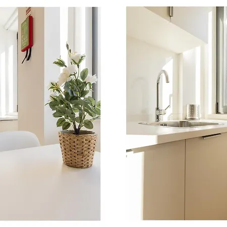 Belem Design By Homing *