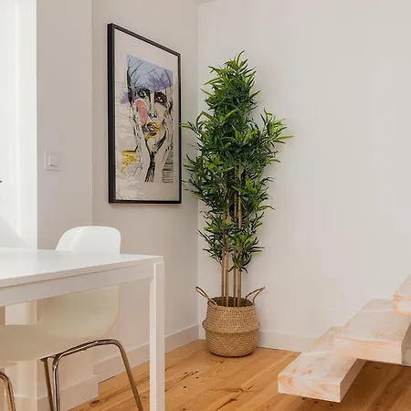 Apartamento Belem Design By Homing