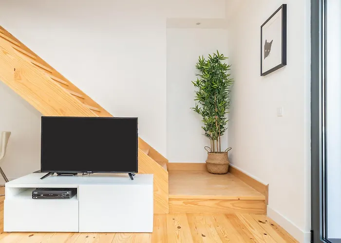 Belem Design By Homing *