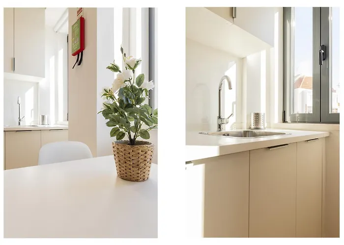 Belem Design By Homing *